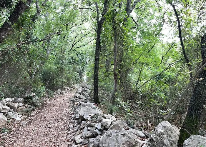 Ruby Beachfront By Guide Villa Dobrinj